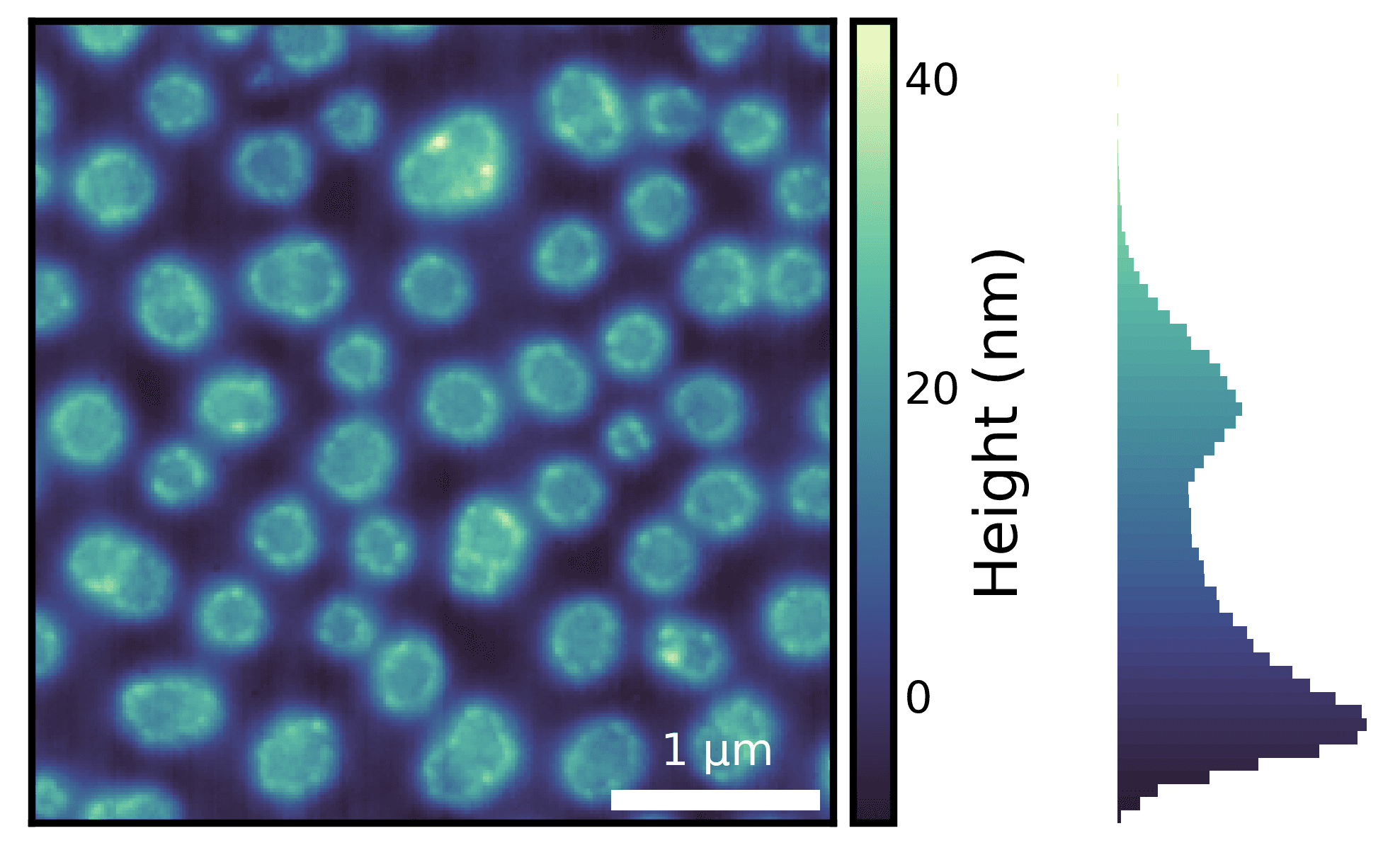 image-with-histogram